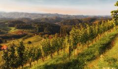 Die Südsteiermark im herbstlichen Licht