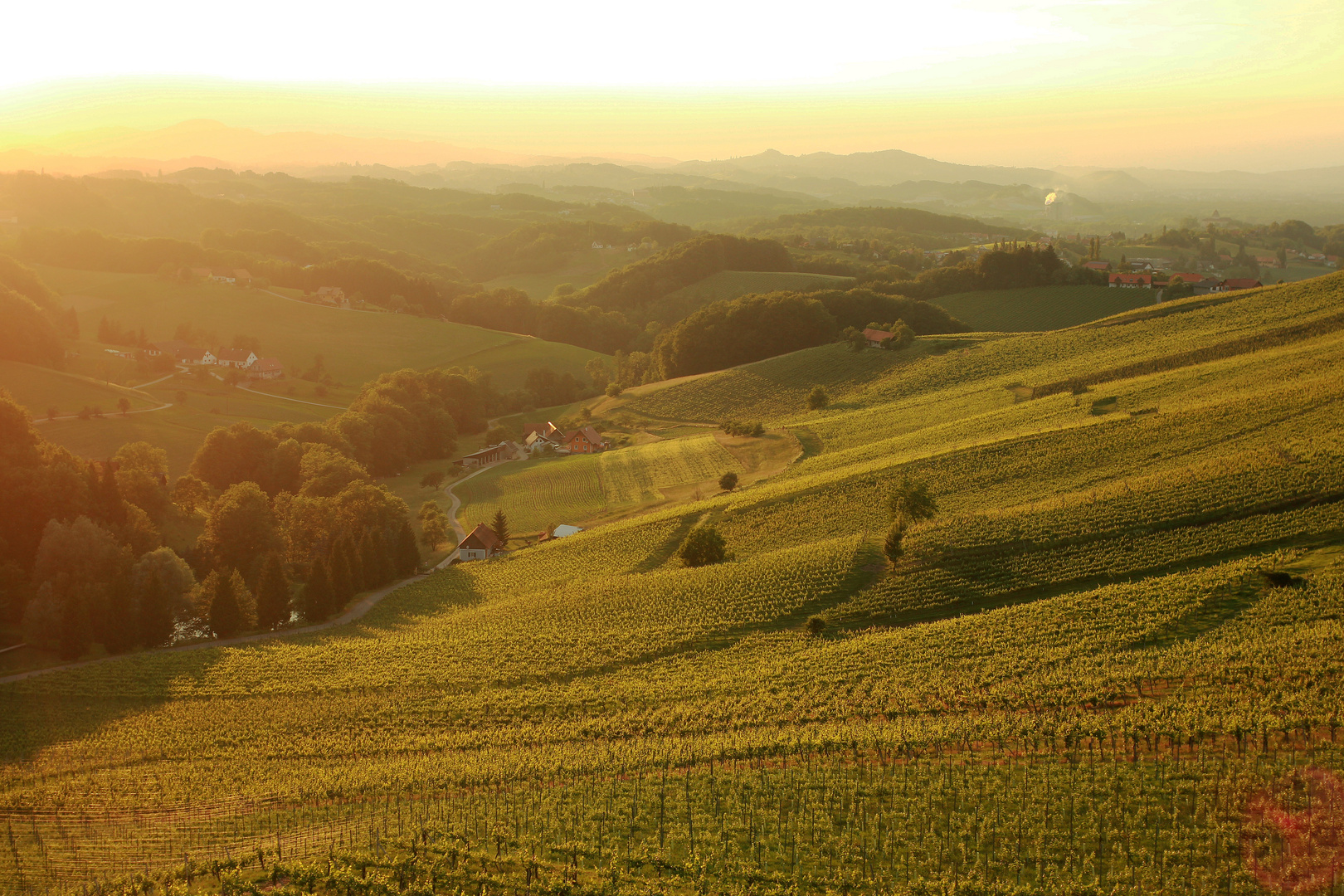 Die südsteirische Weinstrasse 