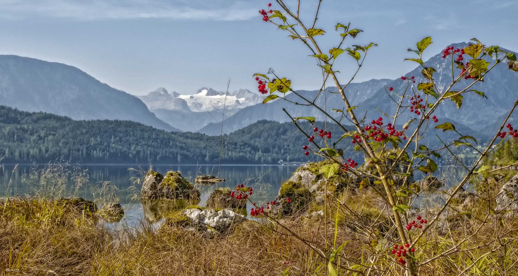 die Süße des Herbstes