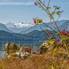 die Süße des Herbstes