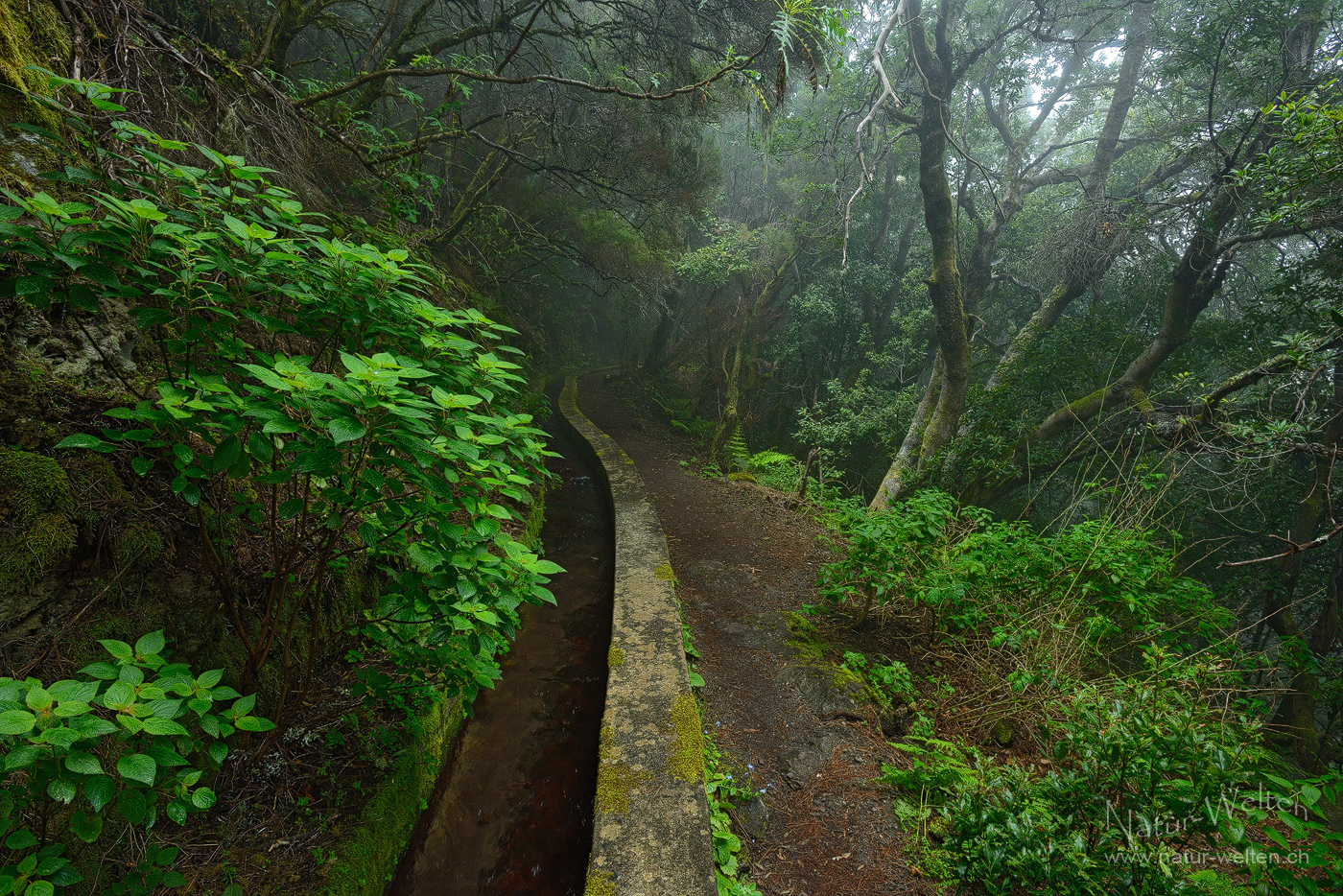 Die Suonen von La Palma