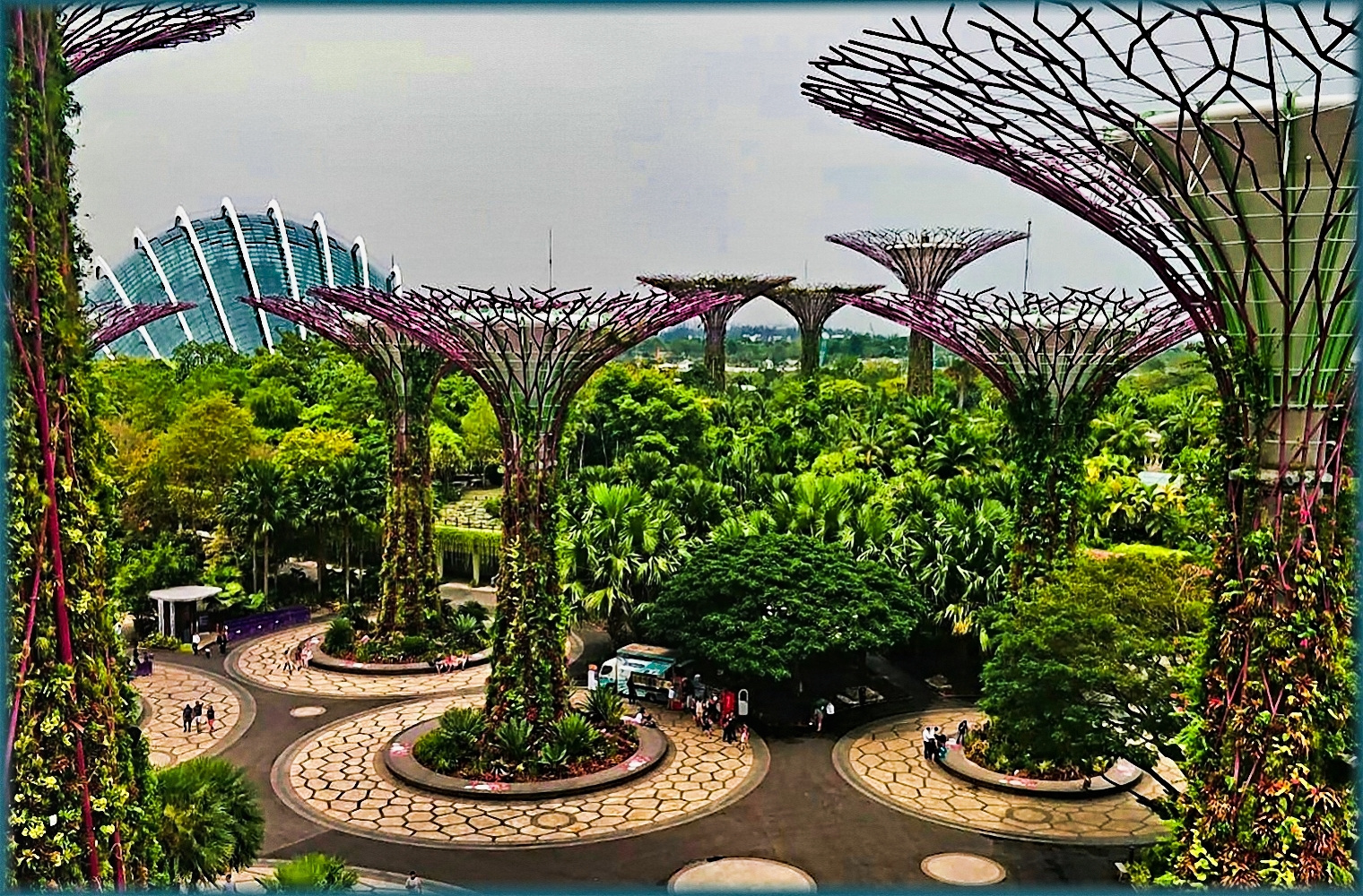 Die "Supertrees Towers" in Singapur