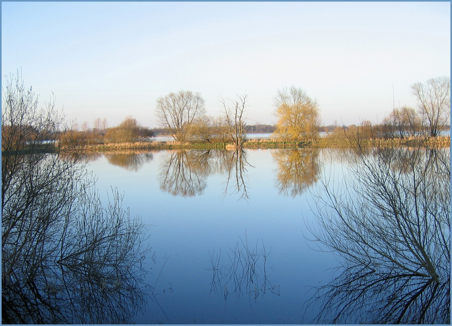 Die Symmetrie in der Natur