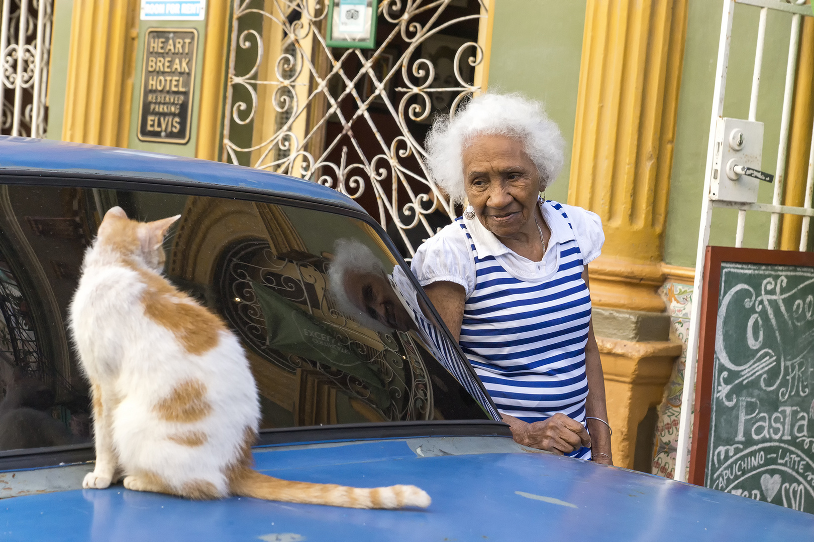 Die Tänzerin und die Katze