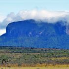 die Tafelberge in der Gran Sabana..............