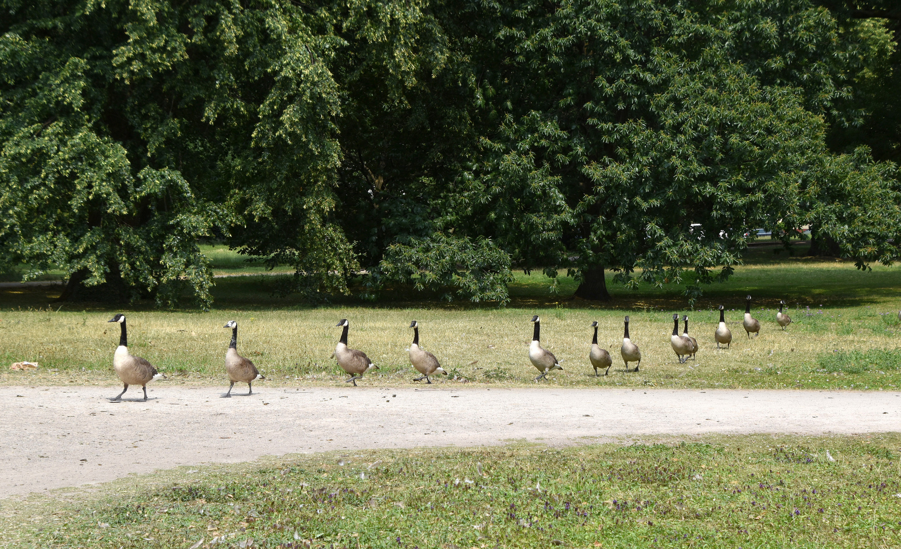 Die Tafelrunde unterwegs