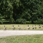 Die Tafelrunde unterwegs