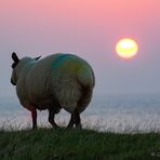 Die Tage werden kürzer …