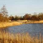 Die Tage werden kürzer - die Schatten länger ...