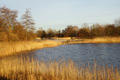 Die Tage werden kürzer - die Schatten länger ...