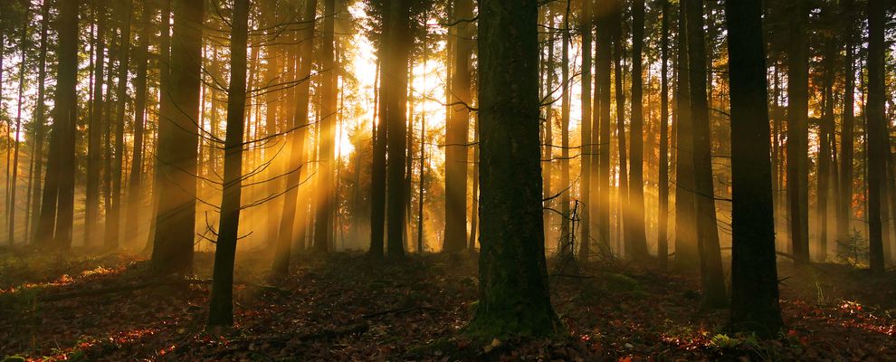 Die Tage werden länger....