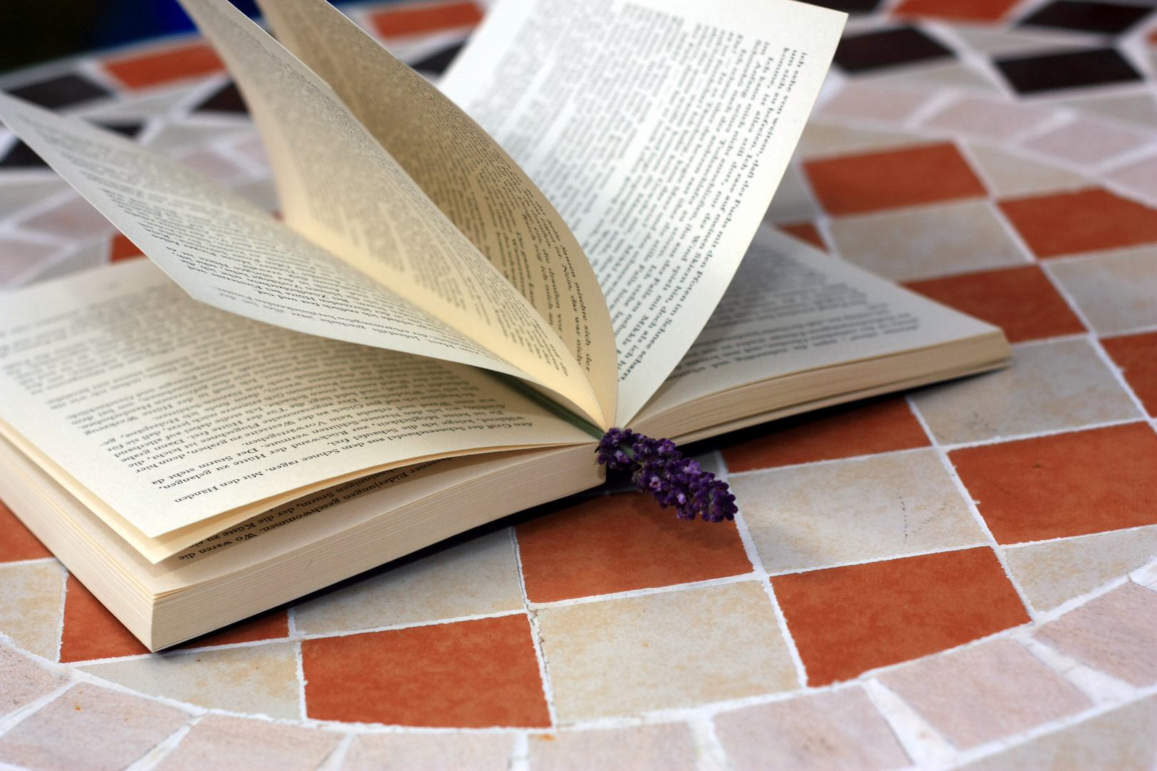 Die Tage Werden Wieder Kurzer Foto Bild Motive Buch