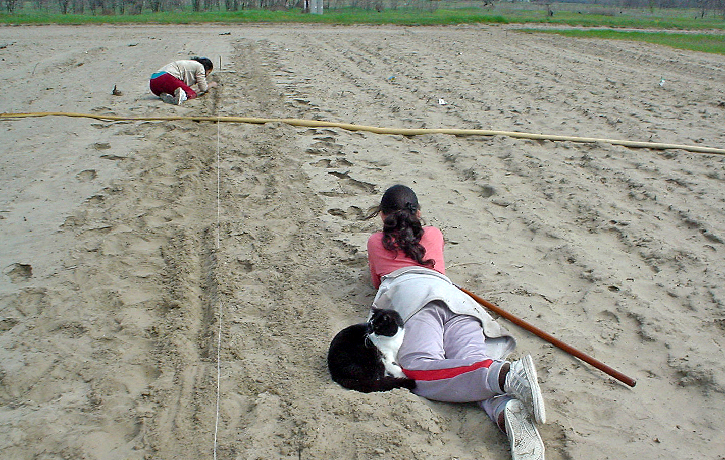 Die Tagesarbeit auf dem Land