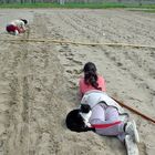 Die Tagesarbeit auf dem Land