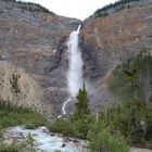 Die Takakkaw-falls 