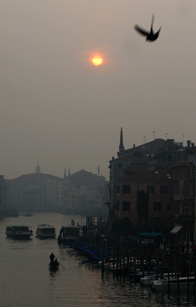 Die Taube, die Gondel und der Nebel