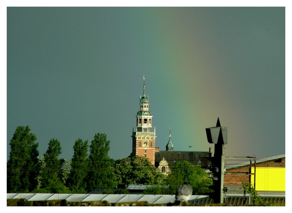 Die Taube und der Regenbogen