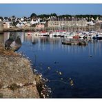 Die Tauben von Concarneau