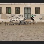 Die Taubenfängerin vom Campo San Polo