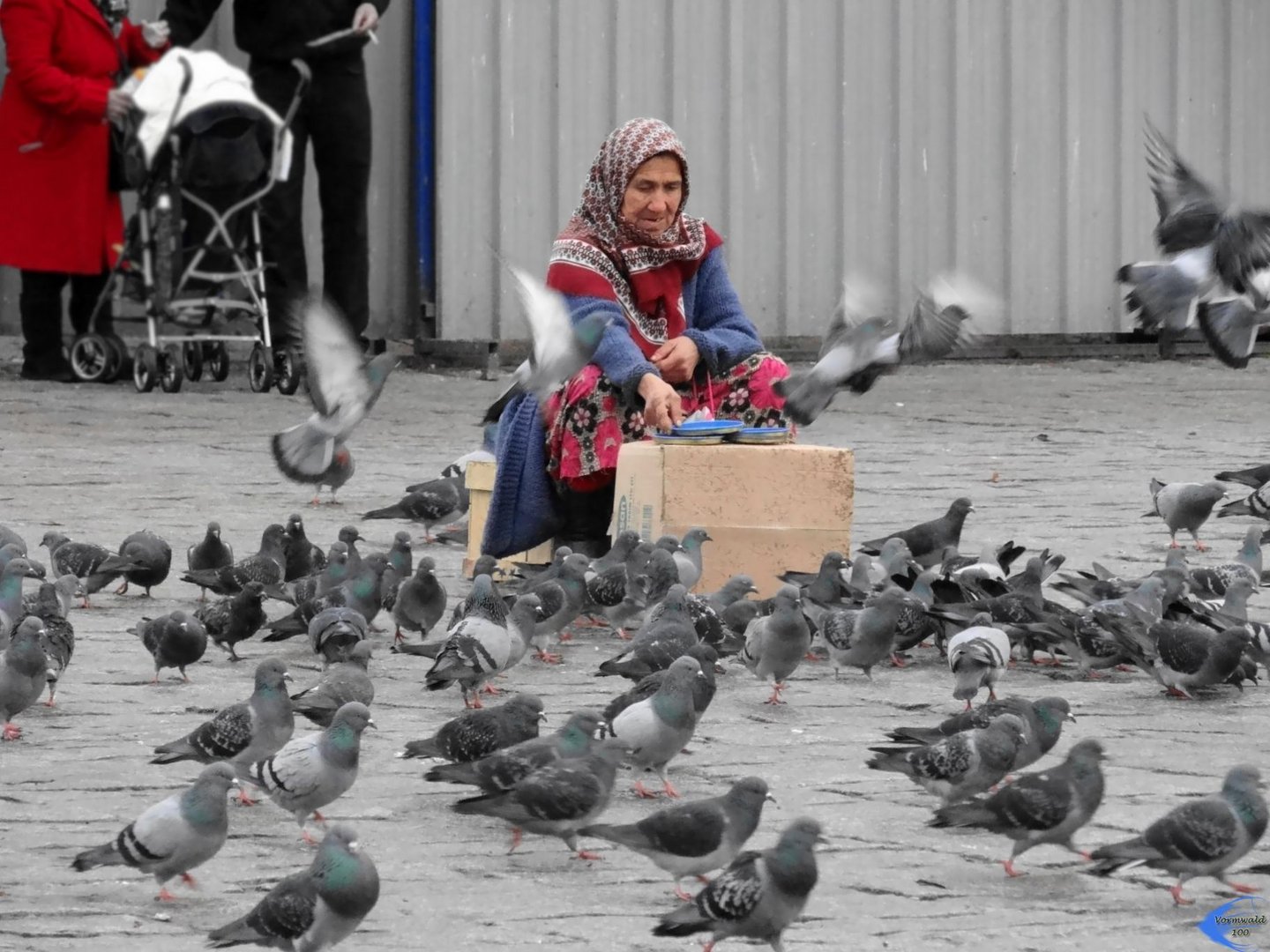 Die Taubenfütterin von Istanbul