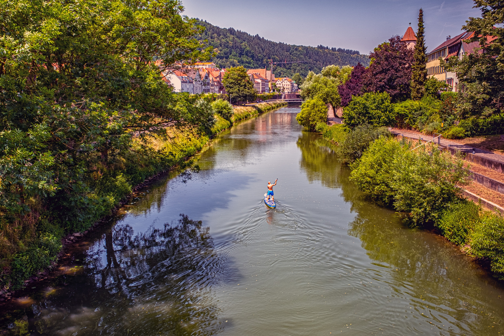 Die Tauber in Wertheim