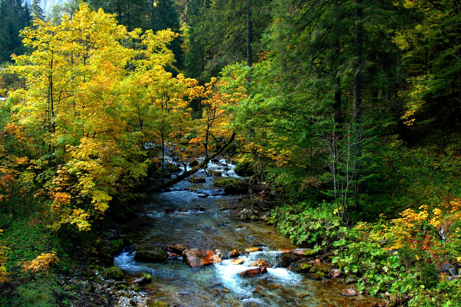 Die Taurach in Untertauern