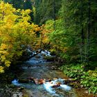 Die Taurach in Untertauern