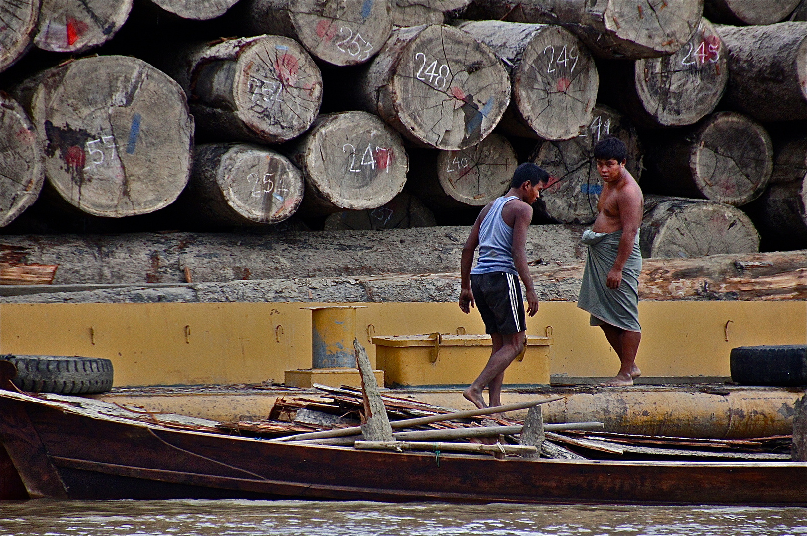 die teakholzverschiffung am irrawaddy, burma 2011