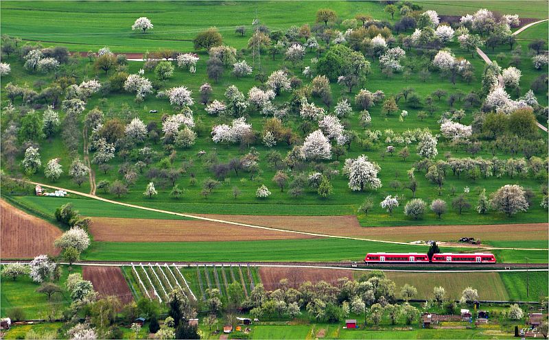 Die Teckbahn