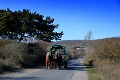 die Teerstrasse auf Hiddensee 