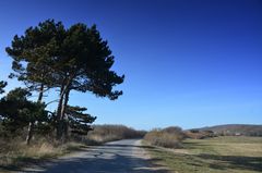 die Teerstrasse auf Hiddensee 