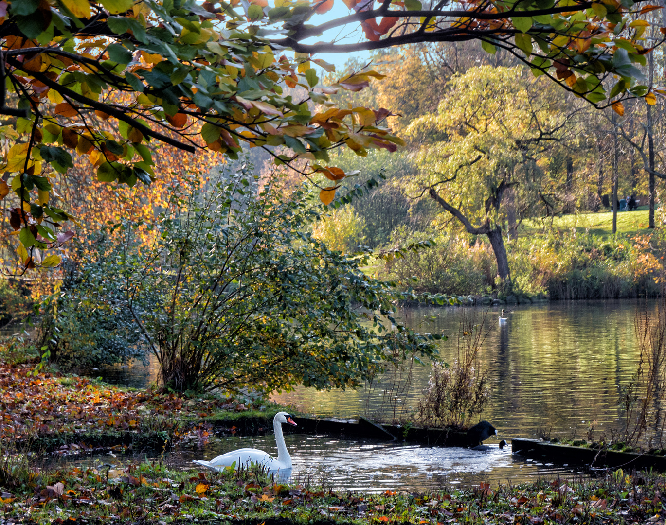 Die Teiche von Woluwe?