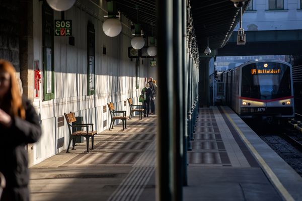 Die Teilung von Schönbrunn