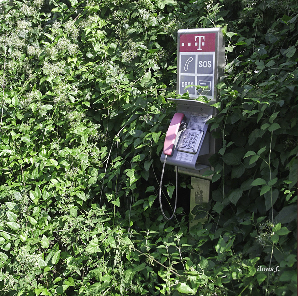 Die Telekom baut im Grünen...oder auch im Grünen stehengelassen...