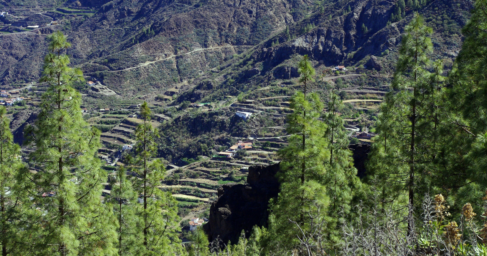 Die Terassen von Gran Canaria