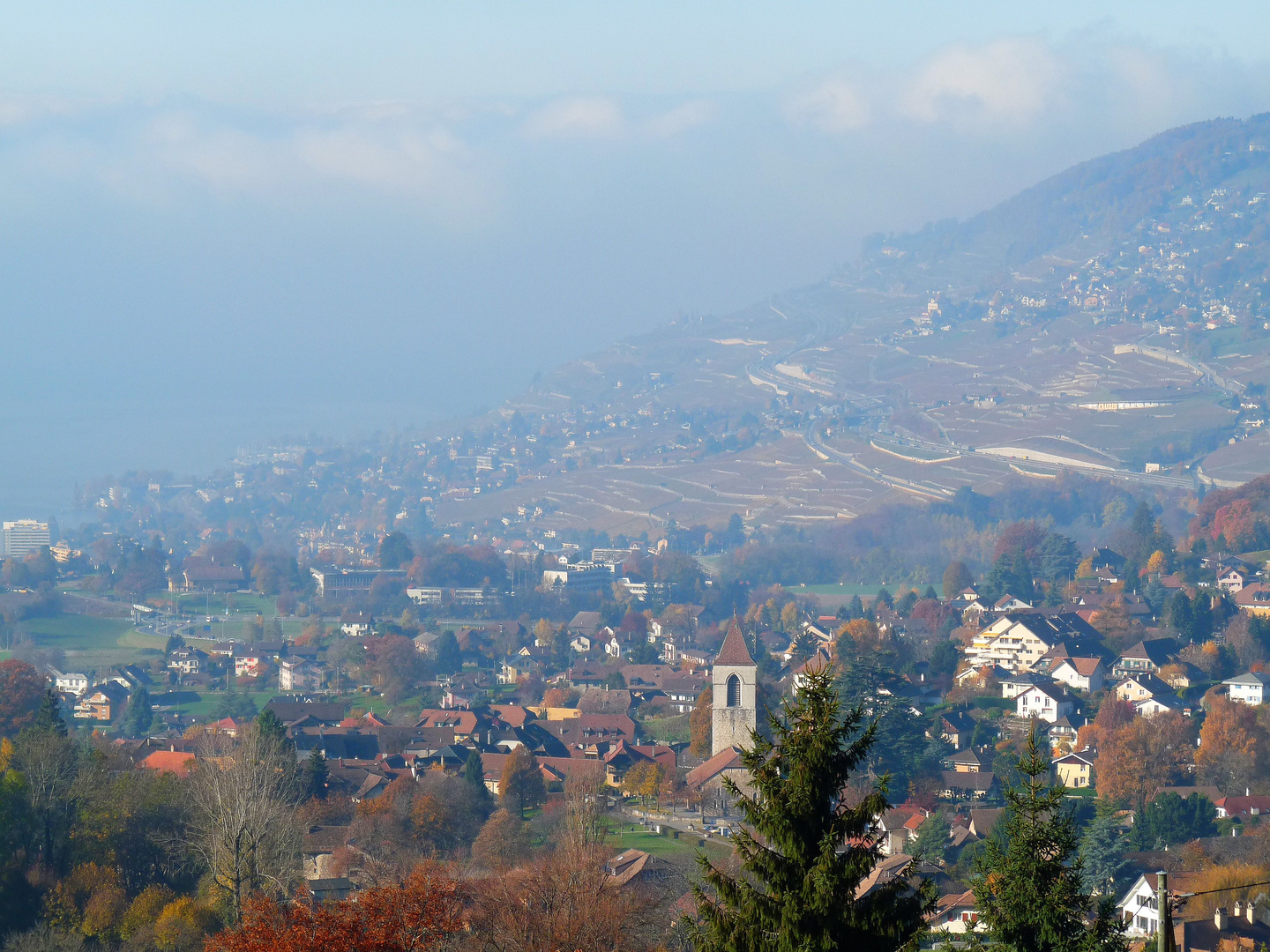 die terrassen der lavaux