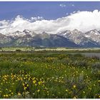 Die Tetons Bergkette von einem anderen Standort