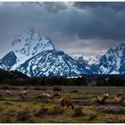 Die Tetons