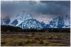 Die Tetons