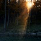 die tiefe Sonne vertreibt den dunklen Schatten