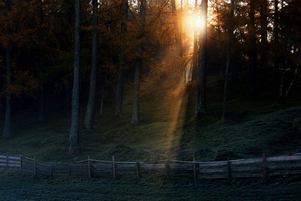 die tiefe Sonne vertreibt den dunklen Schatten