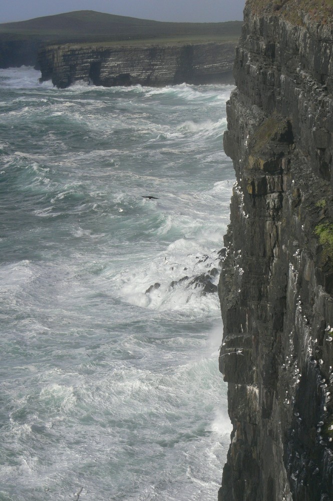 Die Todesklippe (Irland einmal anders)