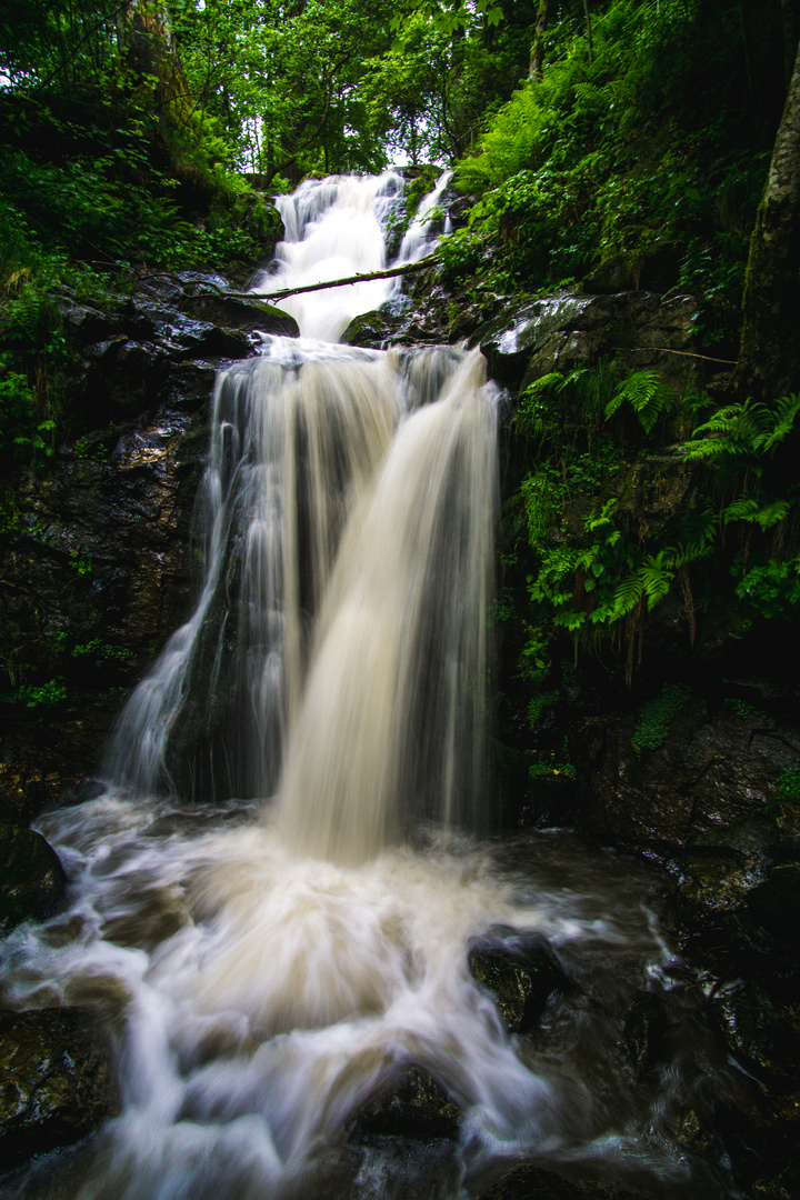 Die Todtnauer Wasserfälle