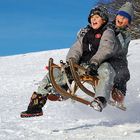 Die tollkühnen Jungs auf ihren fliegenden Schlitten