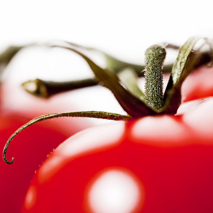 Die Tomate Foto & Bild stillleben, foodfotografie, obst & gemüse