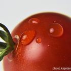 Die Tomate