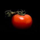 die Tomate