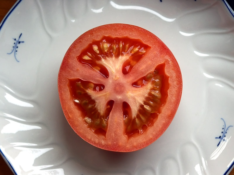 Die Tomate