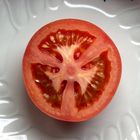 Die Tomate