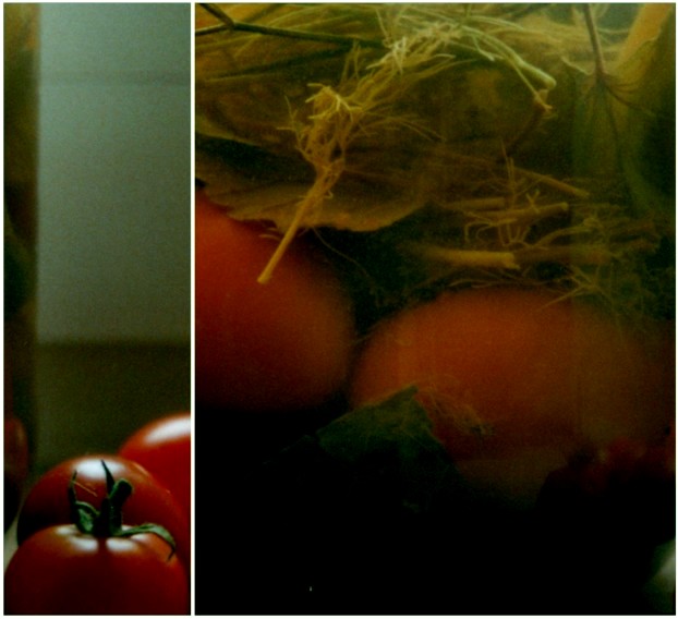 Die Tomatenkombi